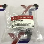 بچه قالپاق (529601F250) - کیا جنیون پارت