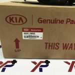 چراغ خطر چپ روی گلگیر سراتو (924011M020) - کیا جنیون پارت